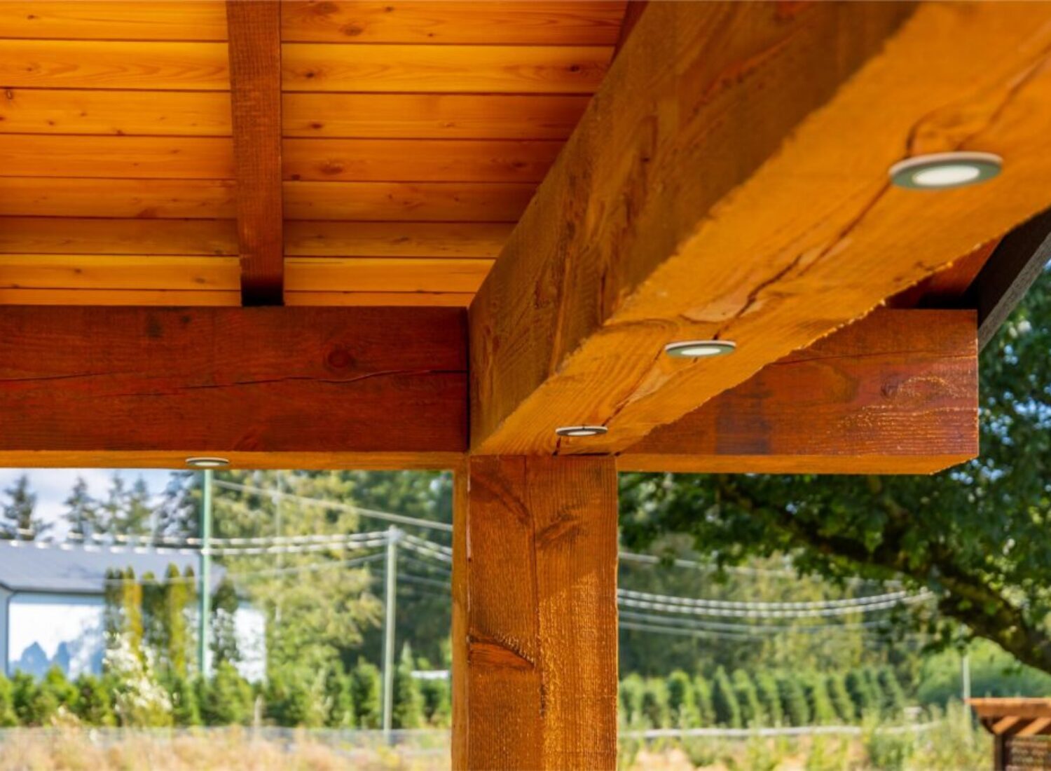 2022 09 22 Vandenberg Landscape Bridges58