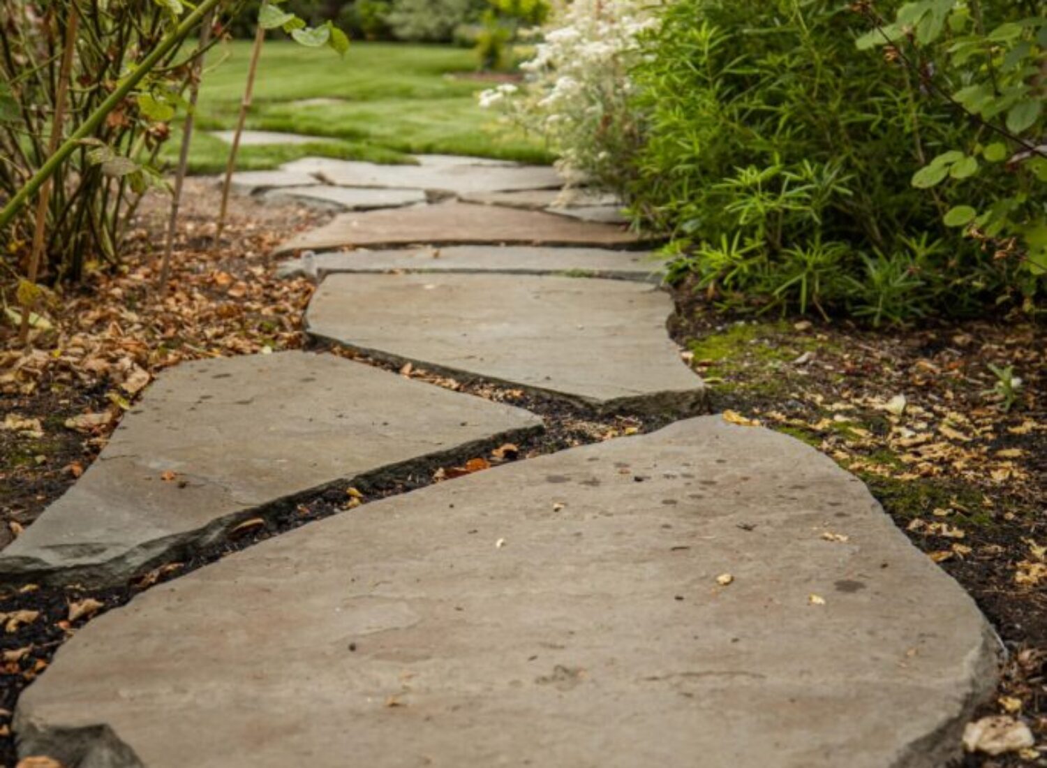 6 Sangha 5241 238 street Langley117 scaled