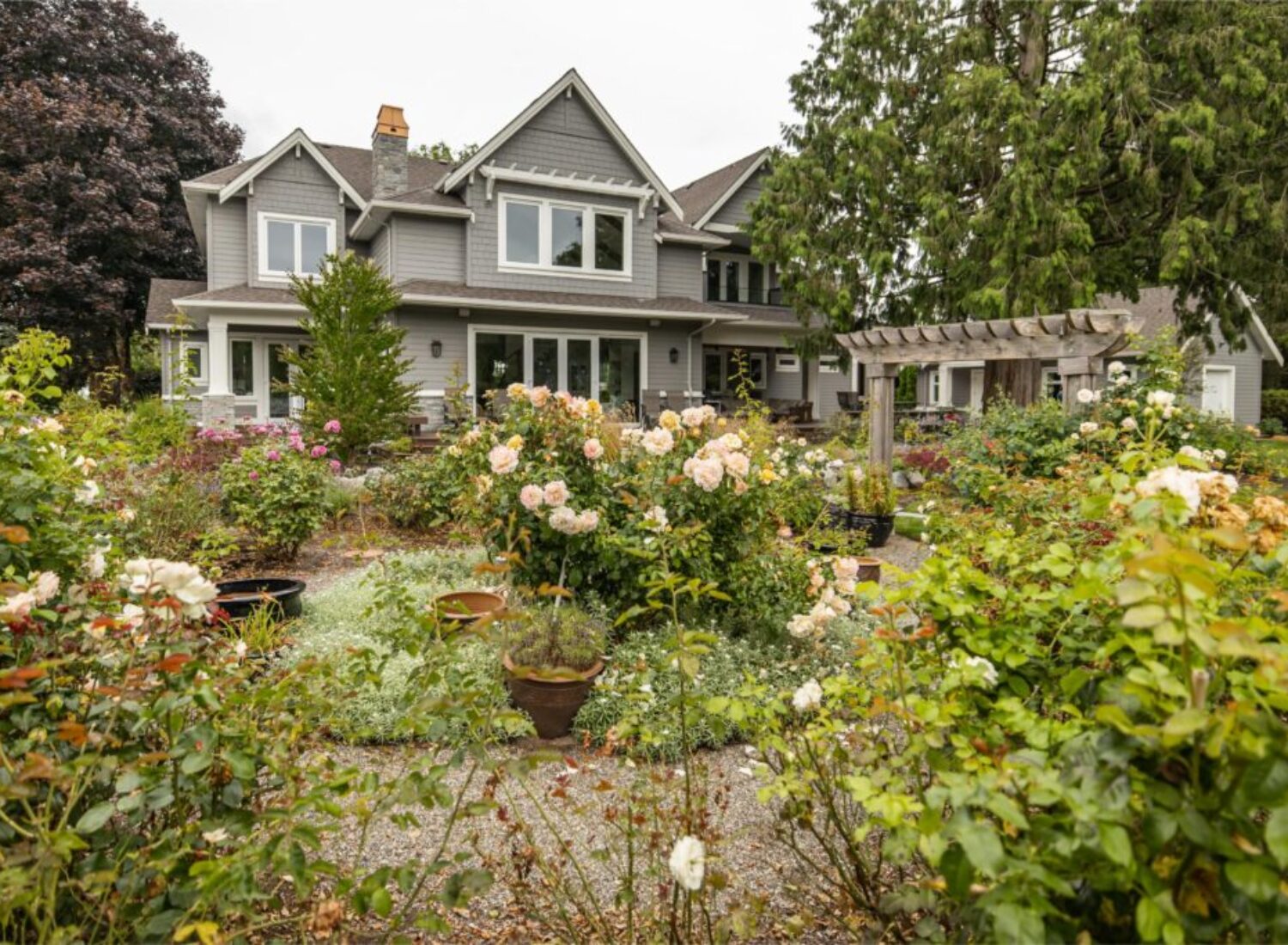 6 Sangha 5241 238 street Langley119 scaled