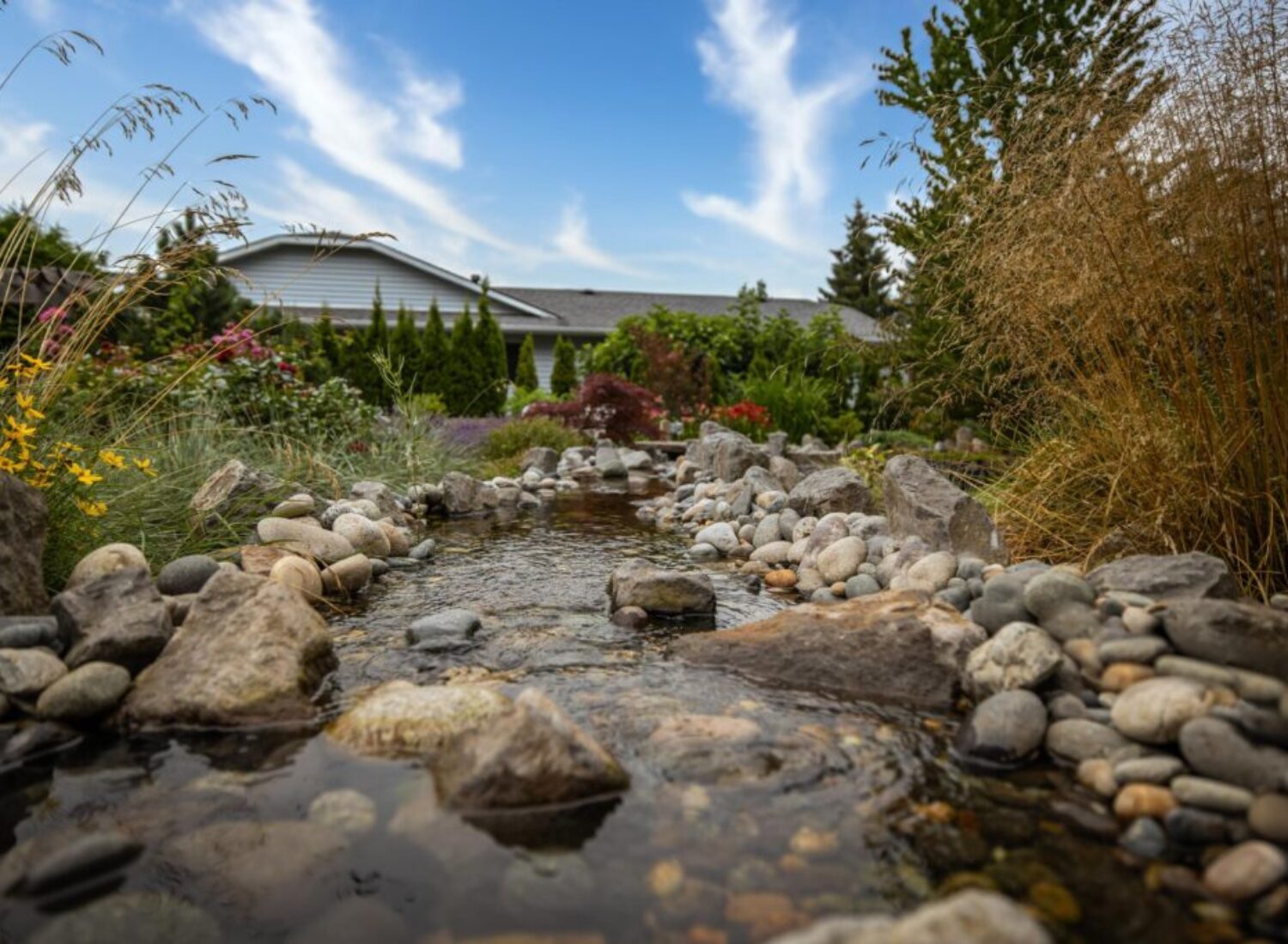 SANGHA FIXES1 scaled